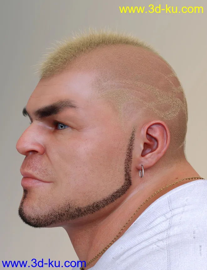 Pattern Hair for Genesis 3 and 8模型的图片5