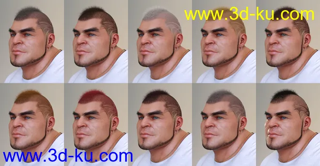 Pattern Hair for Genesis 3 and 8模型的图片6