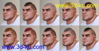 3D打印模型Pattern Hair for Genesis 3 and 8的图片