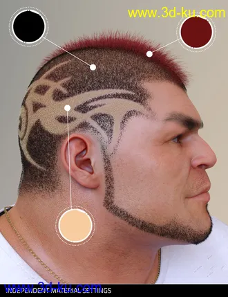 3D打印模型Pattern Hair for Genesis 3 and 8的图片