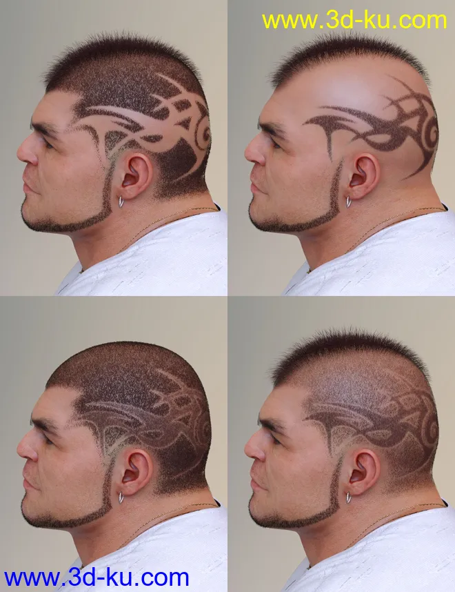 Pattern Hair for Genesis 3 and 8模型的图片8