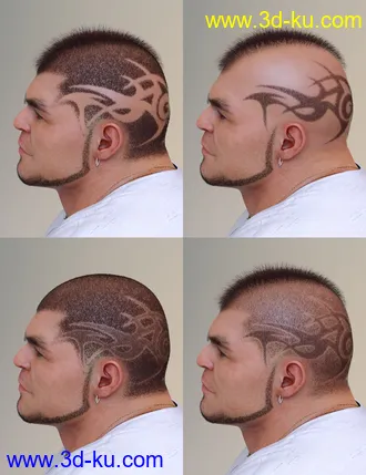 3D打印模型Pattern Hair for Genesis 3 and 8的图片