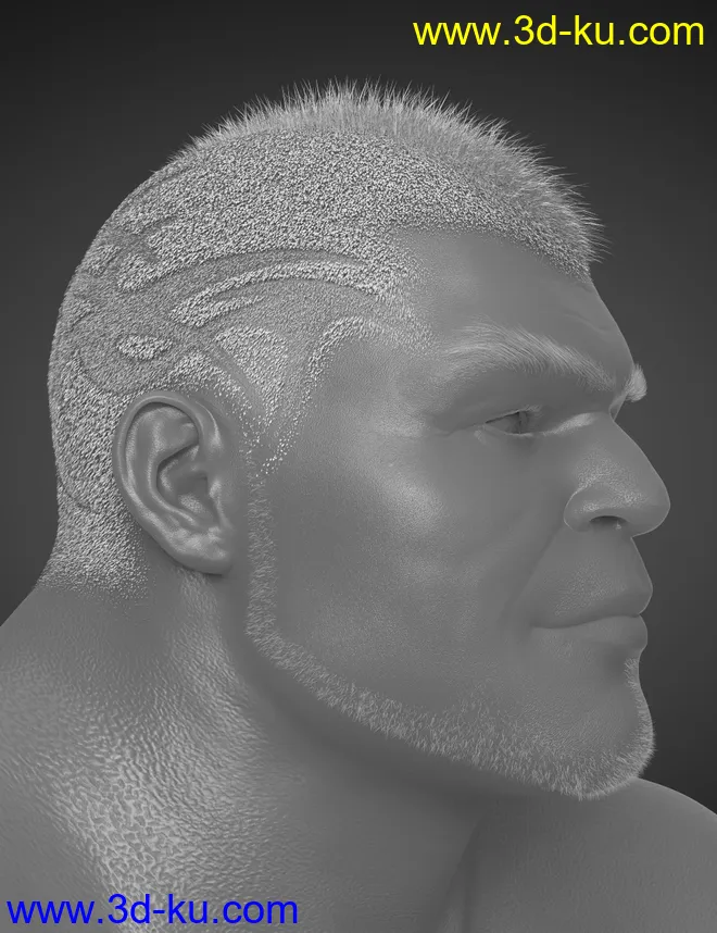 Pattern Hair for Genesis 3 and 8模型的图片9
