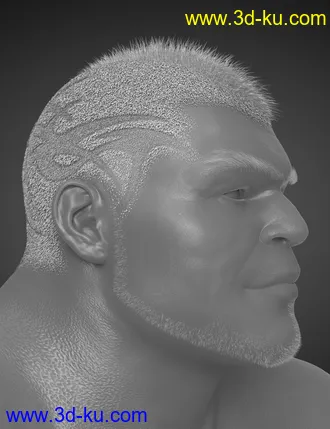 3D打印模型Pattern Hair for Genesis 3 and 8的图片