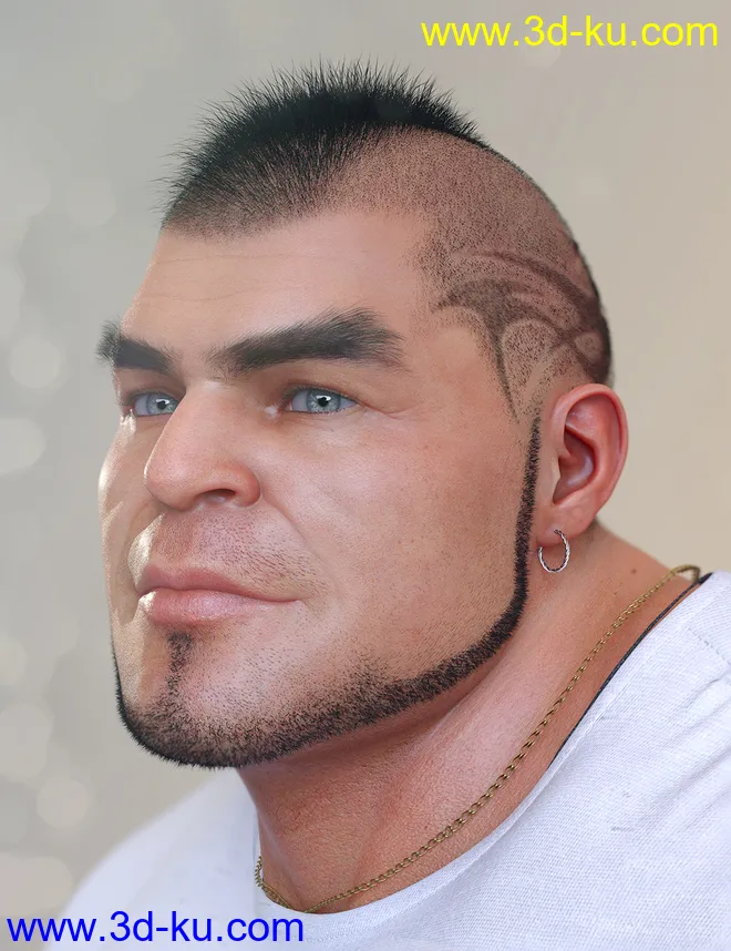 Pattern Hair for Genesis 3 and 8模型的图片11