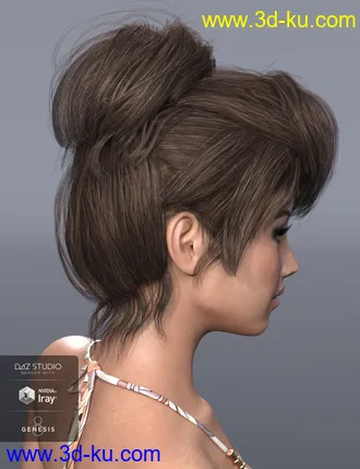 3D打印模型Pina Hair for Genesis 3 and 8 Female(s)的图片