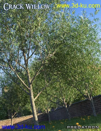 3D打印模型Predatron Crack Willow Trees的图片