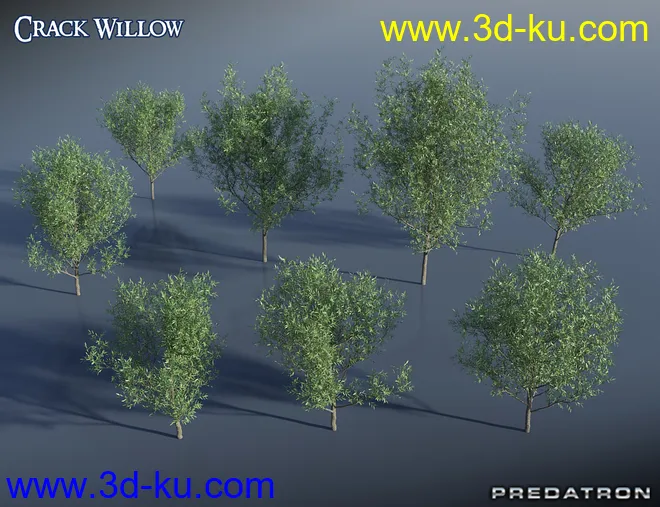 Predatron Crack Willow Trees模型的图片2