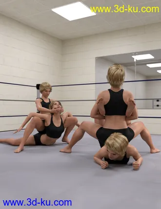 3D打印模型Pro Style Wrestling Poses for Genesis 8 Female的图片