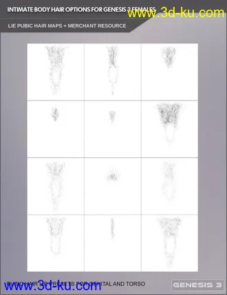 3D打印模型Pubic Hair Options For Genesis 3 Female Based Characters的图片