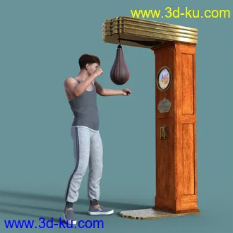 3D打印模型Punching Bag的图片