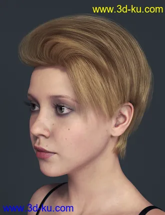 3D打印模型Qu Hair for Genesis 8 Female(s)的图片
