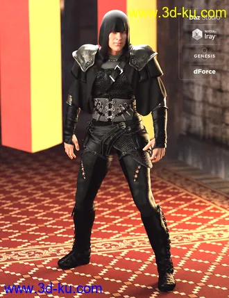 3D打印模型Raven Guild Assassin Outfit Textures的图片