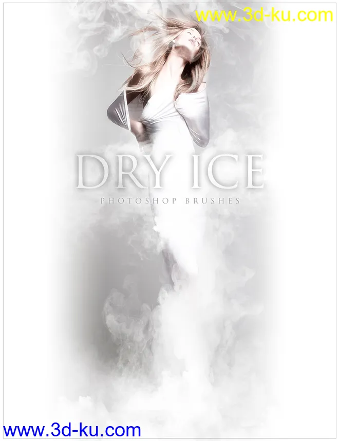 Ron's Dry Ice模型的图片1