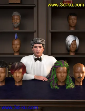 3D打印模型RSSY Hair Converter from Genesis 2 Male to Genesis 8 Male的图片