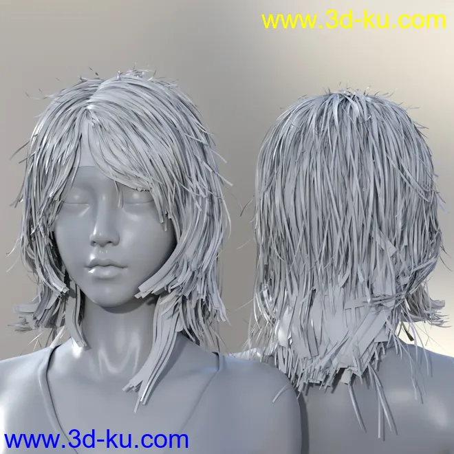 Ruo Xi Collection for Genesis 8 Female(s)模型的图片17