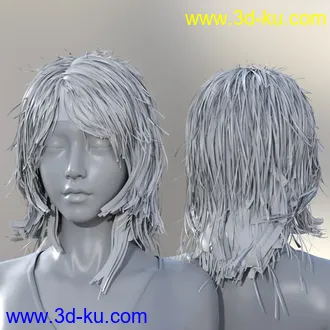 3D打印模型Ruo Xi Collection for Genesis 8 Female(s)的图片