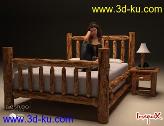 3D打印模型Rustic Interiors的图片