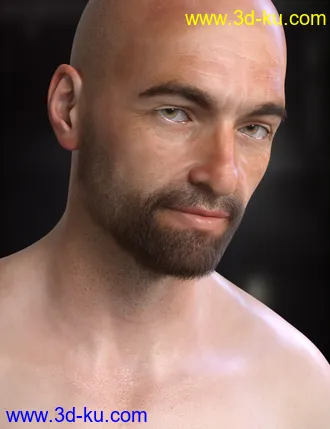 RY Spencer Bundle模型的图片3