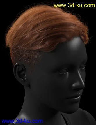 3D打印模型RY Spencer Bundle的图片