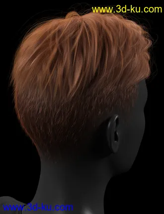 3D打印模型RY Spencer Bundle的图片