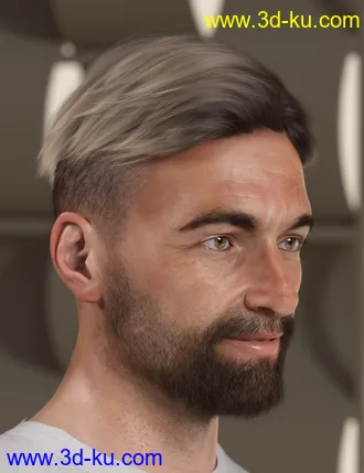 RY Spencer Bundle模型的图片28