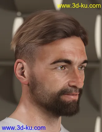 RY Spencer Bundle模型的图片30