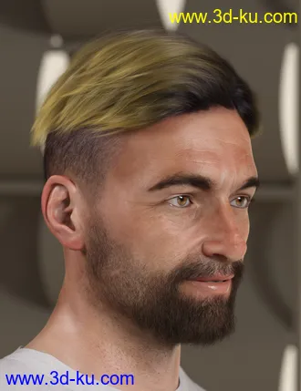3D打印模型RY Spencer Bundle的图片