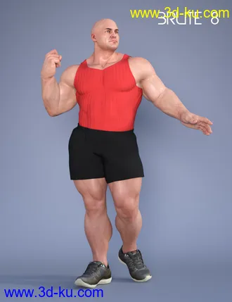 3D打印模型S3D Casual Sneakers for Genesis 8 Male(s)的图片