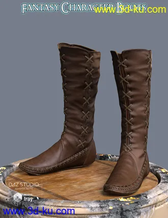 3D打印模型S3D FC Boots for Genesis 3 and 8 Female(s)的图片