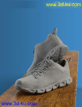3D打印模型S3D Real Sneakers 4 for Genesis 3 and 8 Female(s)的图片