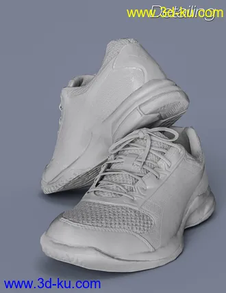 3D打印模型S3D Real Sneakers 5 for Genesis 3 and 8 Female(s)的图片