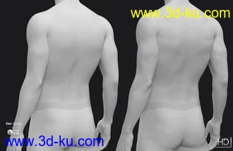 3D打印模型Silas 8 HD Add-On的图片
