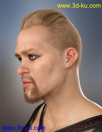 3D打印模型Sitric Hair for Genesis 8的图片
