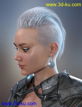 3D打印模型Sitric Hair for Genesis 8的图片