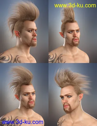 3D打印模型Sitric Hair for Genesis 8的图片