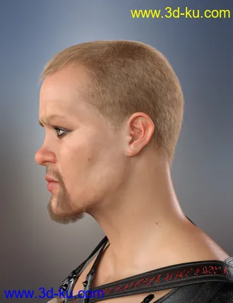 3D打印模型Sitric Hair for Genesis 8的图片