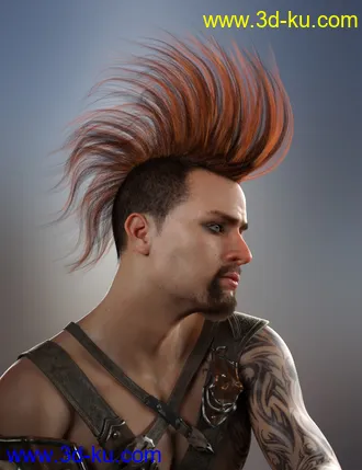 3D打印模型Sitric Hair for Genesis 8的图片
