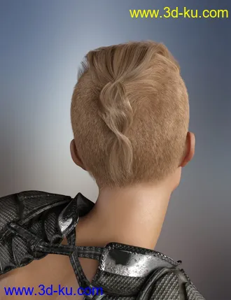 3D打印模型Sitric Hair for Genesis 8的图片