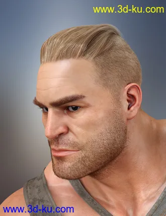 3D打印模型Sitric Hair for Genesis 8的图片