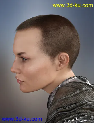 3D打印模型Sitric Hair for Genesis 8的图片
