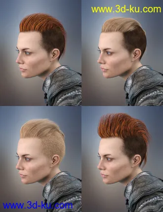 3D打印模型Sitric Hair for Genesis 8的图片