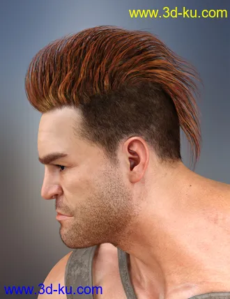 3D打印模型Sitric Hair for Genesis 8的图片