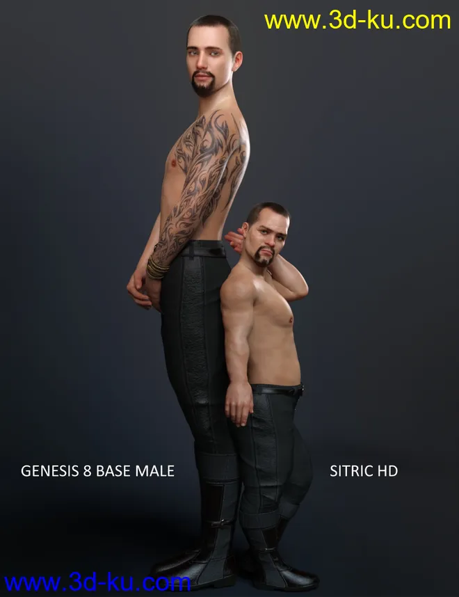 Sitric HD for Genesis 8 Male模型的图片10