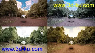 3D打印模型Skies of Sylva - 20 Forest Themed 8K HDRIs for Iray的图片