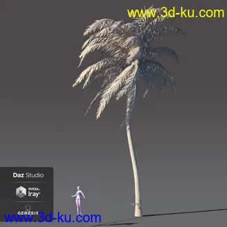 3D打印模型Slackline and Poses for Genesis 8的图片