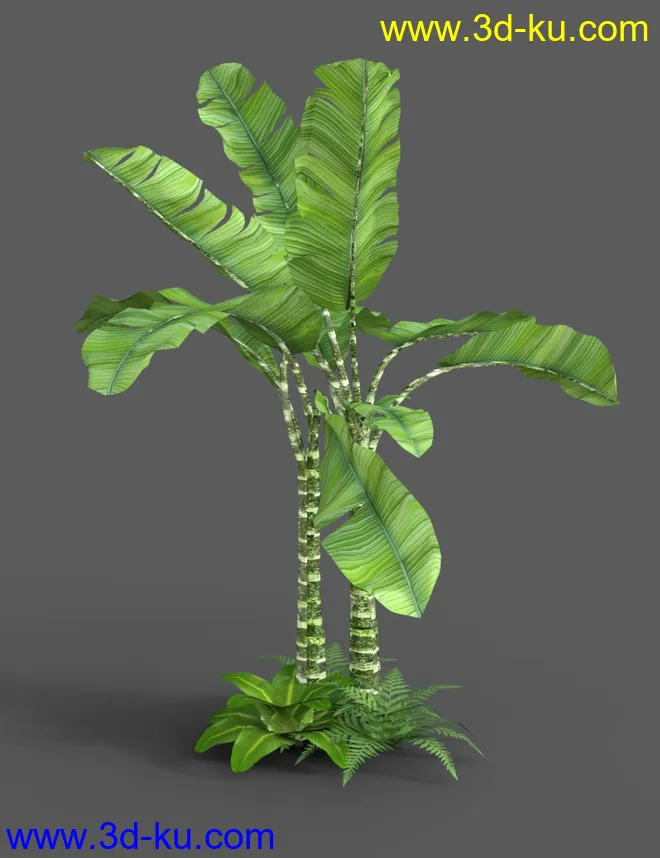 Southeast Asian Village模型的图片6