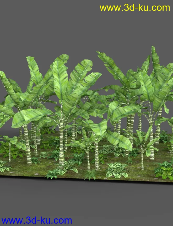 Southeast Asian Village模型的图片7