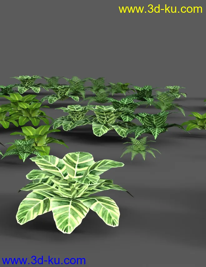 Southeast Asian Village模型的图片9