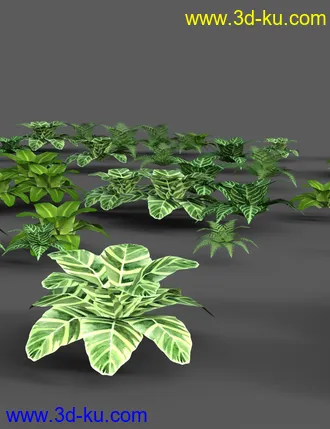 3D打印模型Southeast Asian Village的图片